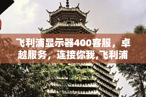 飞利浦显示器400客服，卓越服务，连接你我,飞利浦显示器400客服