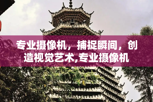 专业摄像机，捕捉瞬间，创造视觉艺术,专业摄像机