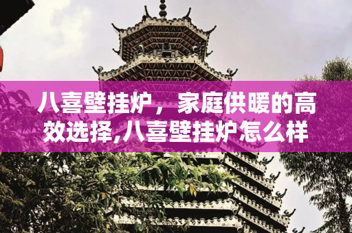 八喜壁挂炉，家庭供暖的高效选择,八喜壁挂炉怎么样