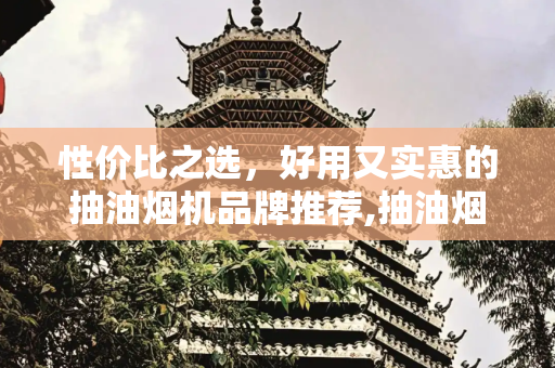 性价比之选，好用又实惠的抽油烟机品牌推荐,抽油烟机什么牌子的好用又实惠