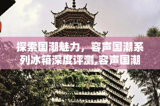 探索国潮魅力，容声国潮系列冰箱深度评测,容声国潮系列冰箱怎么样