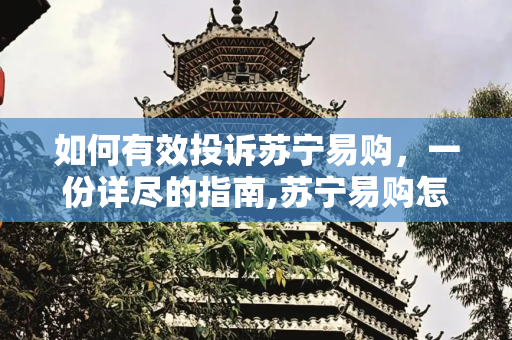 如何有效投诉苏宁易购，一份详尽的指南,苏宁易购怎么投诉