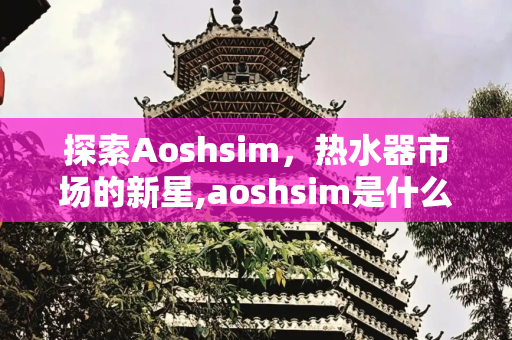 探索Aoshsim，热水器市场的新星,aoshsim是什么热水器牌子