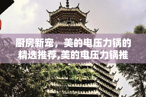 厨房新宠，美的电压力锅的精选推荐,美的电压力锅推荐