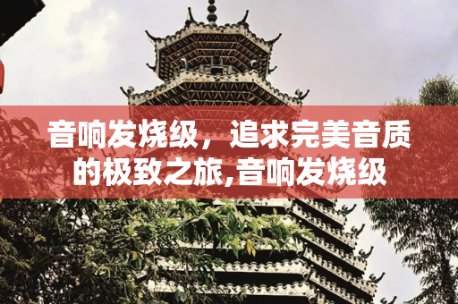 音响发烧级，追求完美音质的极致之旅,音响发烧级