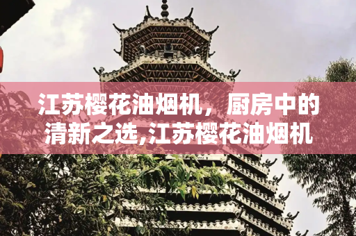 江苏樱花油烟机，厨房中的清新之选,江苏樱花油烟机