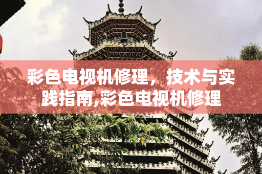 彩色电视机修理，技术与实践指南,彩色电视机修理