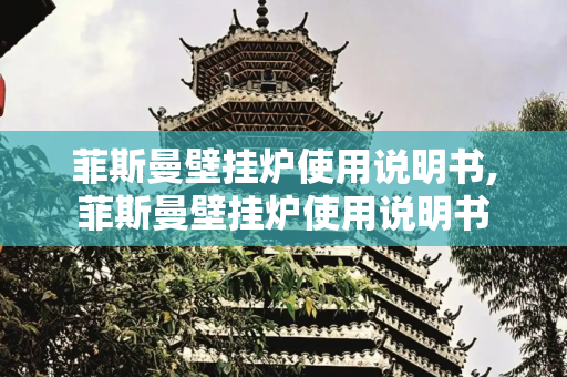 菲斯曼壁挂炉使用说明书,菲斯曼壁挂炉使用说明书