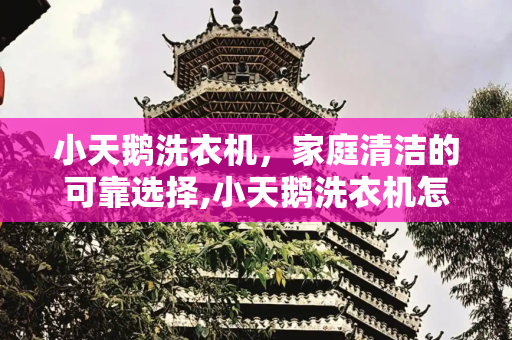 小天鹅洗衣机，家庭清洁的可靠选择,小天鹅洗衣机怎么样好吗质量怎么样