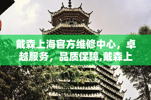 戴森上海官方维修中心，卓越服务，品质保障,戴森上海官方维修中心