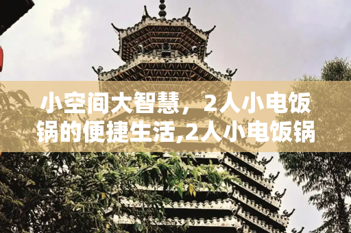 小空间大智慧，2人小电饭锅的便捷生活,2人小电饭锅