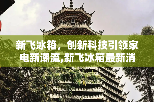 新飞冰箱，创新科技引领家电新潮流,新飞冰箱最新消息
