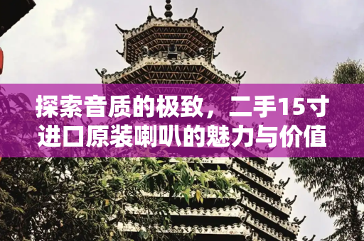 探索音质的极致，二手15寸进口原装喇叭的魅力与价值,二手15寸进口原装喇叭