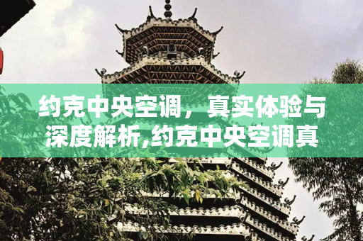 约克中央空调，真实体验与深度解析,约克中央空调真实感受