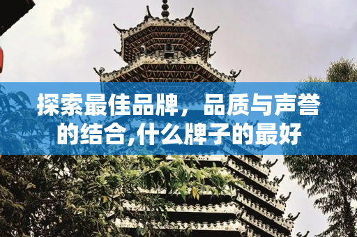 探索最佳品牌，品质与声誉的结合,什么牌子的最好