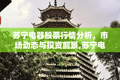 苏宁电器股票行情分析，市场动态与投资前景,苏宁电器股票行情