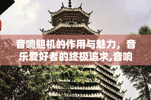 音响胆机的作用与魅力，音乐爱好者的终极追求,音响胆机做什么作用