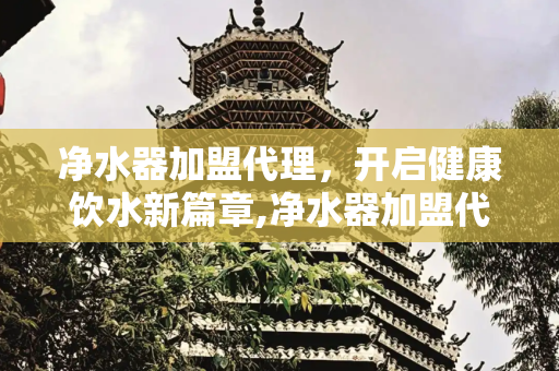 净水器加盟代理，开启健康饮水新篇章,净水器加盟代理