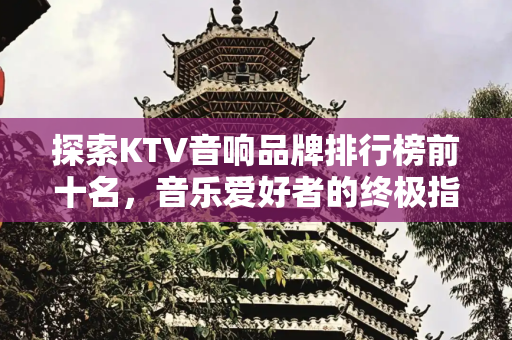 探索KTV音响品牌排行榜前十名，音乐爱好者的终极指南,ktv音响品牌排行榜前十名