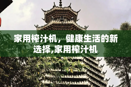 家用榨汁机，健康生活的新选择,家用榨汁机