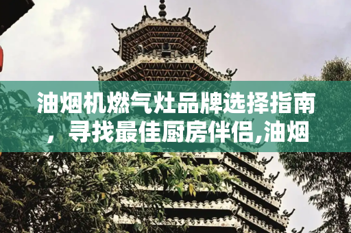 油烟机燃气灶品牌选择指南，寻找最佳厨房伴侣,油烟机燃气灶哪个牌子好
