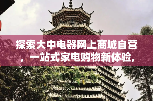 探索大中电器网上商城自营，一站式家电购物新体验,大中电器网上商城自营叫什么