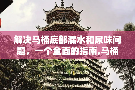 解决马桶底部漏水和尿味问题，一个全面的指南,马桶底部漏水很臭尿味