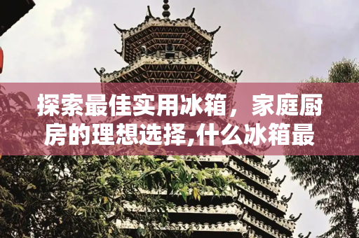 探索最佳实用冰箱，家庭厨房的理想选择,什么冰箱最好最实用