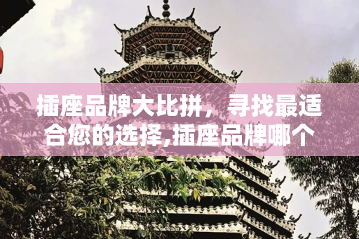 插座品牌大比拼，寻找最适合您的选择,插座品牌哪个好