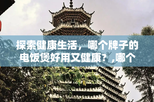 探索健康生活，哪个牌子的电饭煲好用又健康？,哪个牌子的电饭煲好用又健康