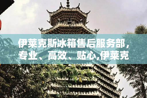 伊莱克斯冰箱售后服务部，专业、高效、贴心,伊莱克斯冰箱售后服务部