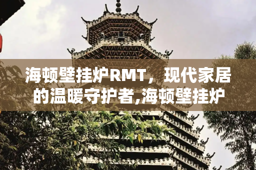 海顿壁挂炉RMT，现代家居的温暖守护者,海顿壁挂炉rmt