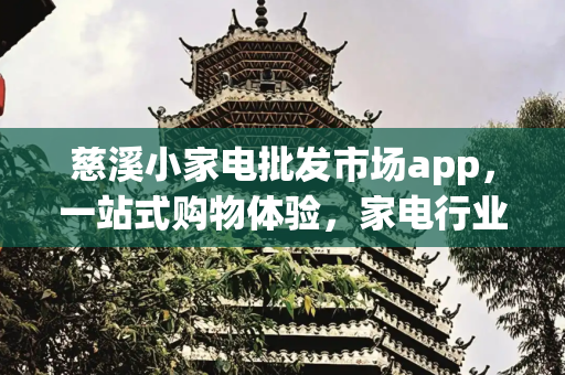 慈溪小家电批发市场app，一站式购物体验，家电行业的新变革,慈溪小家电批发市场app