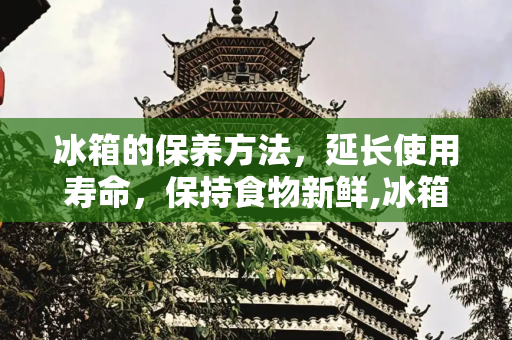 冰箱的保养方法，延长使用寿命，保持食物新鲜,冰箱的保养方法