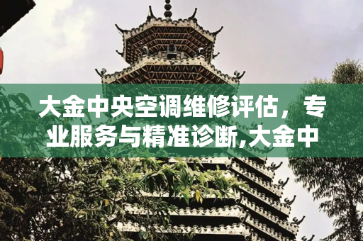 大金中央空调维修评估，专业服务与精准诊断,大金中央空调维修评估