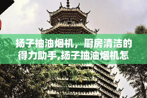 扬子抽油烟机，厨房清洁的得力助手,扬子抽油烟机怎么样
