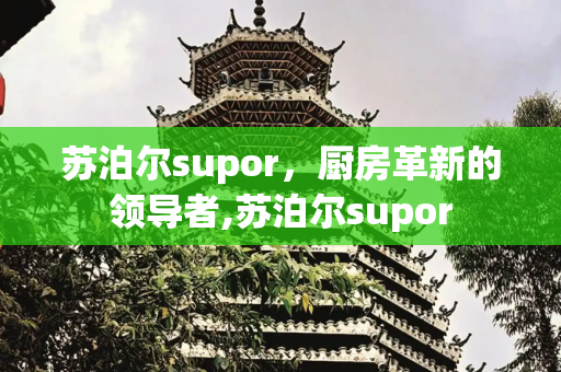 苏泊尔supor，厨房革新的领导者,苏泊尔supor