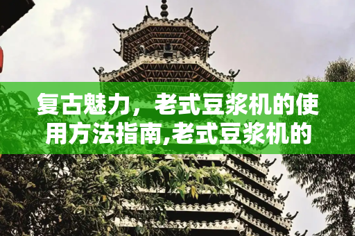 复古魅力，老式豆浆机的使用方法指南,老式豆浆机的使用方法