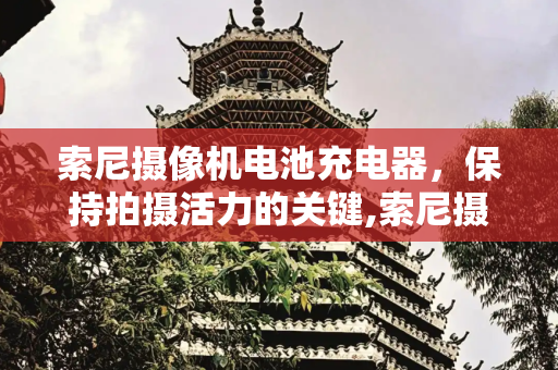 索尼摄像机电池充电器，保持拍摄活力的关键,索尼摄像机电池充电器
