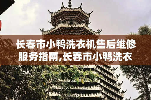 长春市小鸭洗衣机售后维修服务指南,长春市小鸭洗衣机售后维修电话