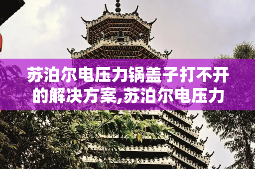 苏泊尔电压力锅盖子打不开的解决方案,苏泊尔电压力锅盖子打不开怎么办