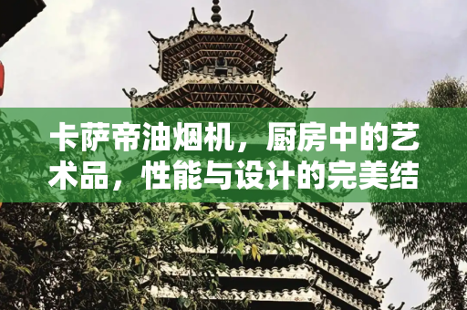 卡萨帝油烟机，厨房中的艺术品，性能与设计的完美结合,卡萨帝的油烟机怎么样
