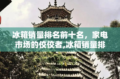 冰箱销量排名前十名，家电市场的佼佼者,冰箱销量排名前十名