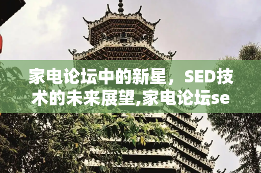 家电论坛中的新星，SED技术的未来展望,家电论坛sed
