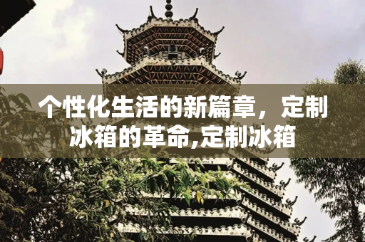个性化生活的新篇章，定制冰箱的革命,定制冰箱