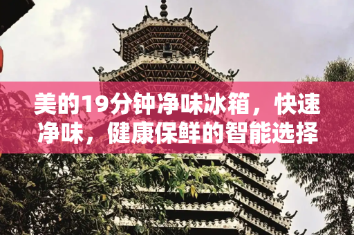 美的19分钟净味冰箱，快速净味，健康保鲜的智能选择,美的19分钟净味冰箱怎么样