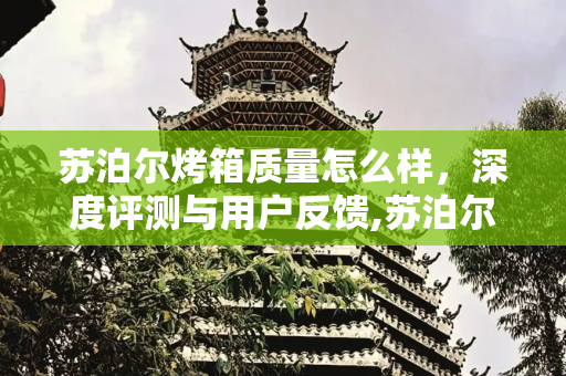 苏泊尔烤箱质量怎么样，深度评测与用户反馈,苏泊尔烤箱质量怎么样