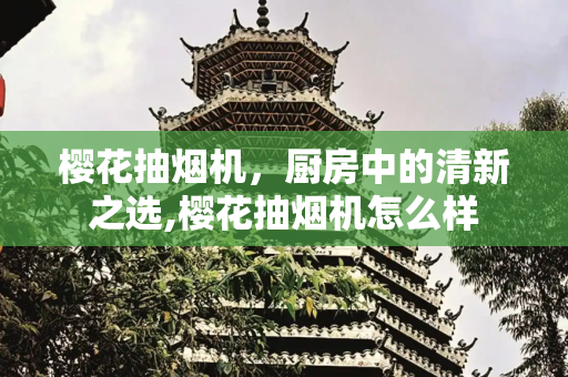 樱花抽烟机，厨房中的清新之选,樱花抽烟机怎么样