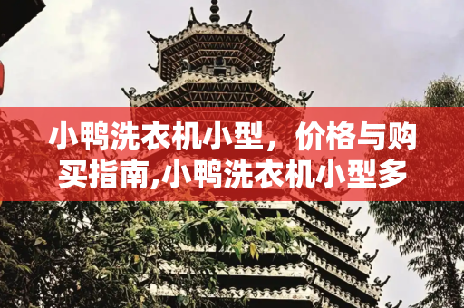 小鸭洗衣机小型，价格与购买指南,小鸭洗衣机小型多少钱