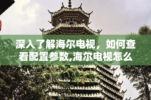 深入了解海尔电视，如何查看配置参数,海尔电视怎么看配置参数
